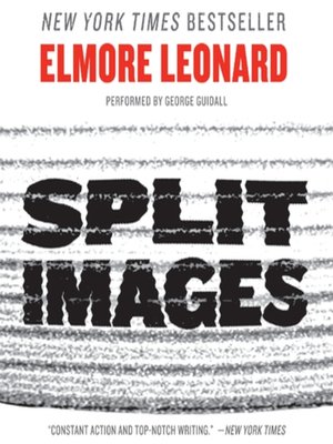 cover image of Split Images